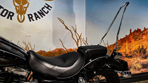 Harley-Davidson - Wide Glide - FXDWG - 2010 (1)