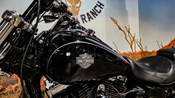 Harley-Davidson - Wide Glide - FXDWG - 2010 (1)