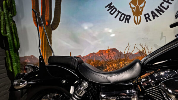 Harley-Davidson - Wide Glide - FXDWG - 2010 (1)