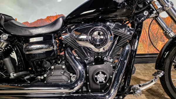 Harley-Davidson - Wide Glide - FXDWG - 2010 (1)