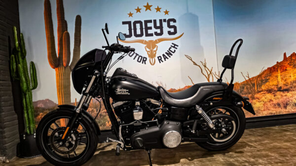 Harley-Davidson - FXDBB - Street Bob Limited - Dyna - Clubstyle - 2016 (2)