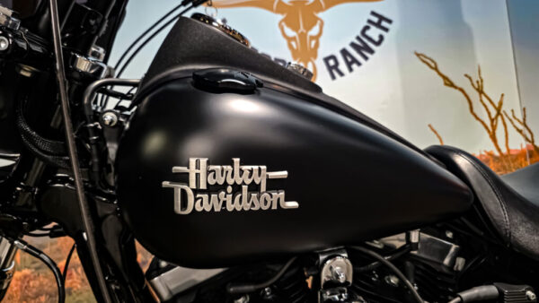 Harley-Davidson - FXDBB - Street Bob Limited - Dyna - Clubstyle - 2016 (2)