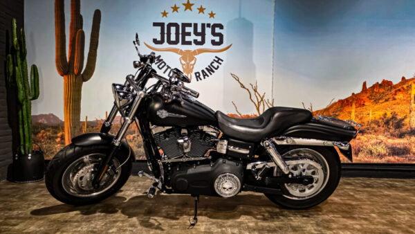 Harley-Davidson - FXDF - Fat Bob - 2010 - dyna (7)
