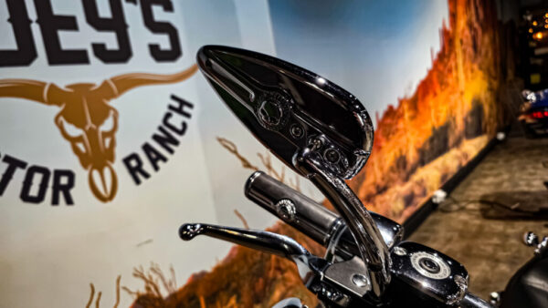 Harley-Davidson - FXDF - Fat Bob - 2010 - dyna (7)