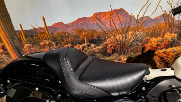 Harley-Davidson - Sportster forty eight - XL1200X - 2010