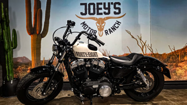 Harley-Davidson - Sportster forty eight - XL1200X - 2010