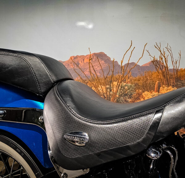 Harley Davidson, FLSTSCI, Springer Classic, 2006