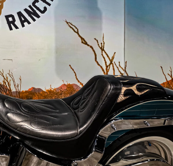 Harley Davidson, FXST, Softail, EVO 1, 1989