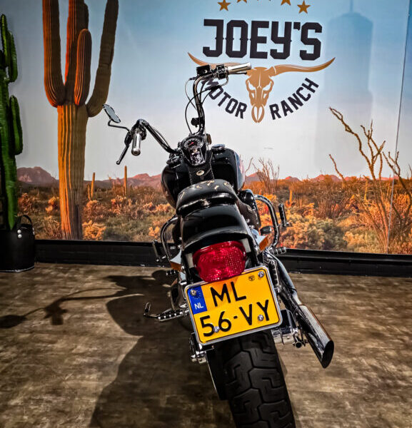 Harley Davidson, FXST, Softail, EVO 1, 1989