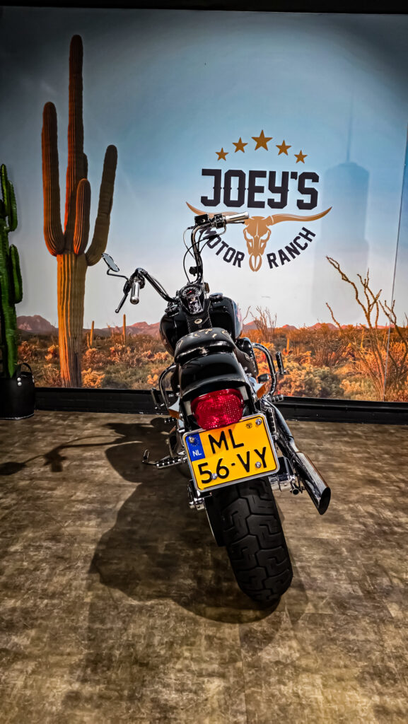 Harley Davidson, FXST, Softail, EVO 1, 1989