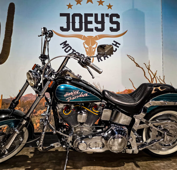 Harley Davidson, FXST, Softail, EVO 1, 1989