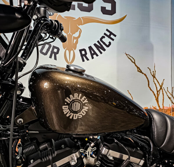 Harley Davidson, Sportster, XL883N, Iron 883, 2020