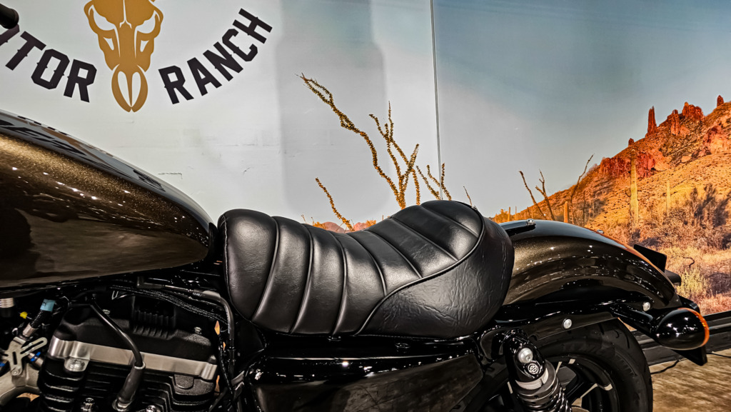 Harley Davidson, Sportster, XL883N, Iron 883, 2020