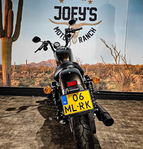 Harley Davidson, Sportster, XL883N, Iron 883, 2020