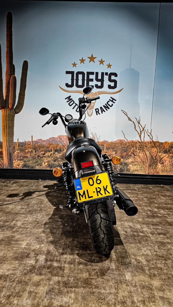 Harley Davidson, Sportster, XL883N, Iron 883, 2020