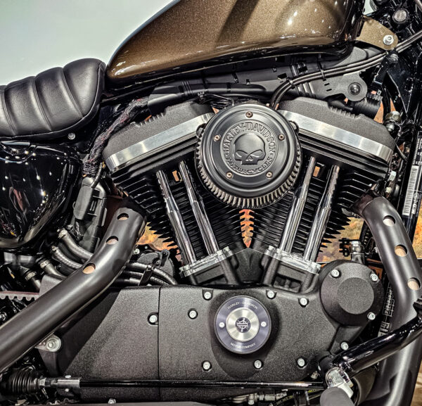 Harley Davidson, Sportster, XL883N, Iron 883, 2020