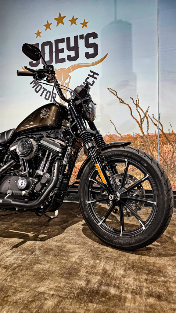 Harley Davidson, Sportster, XL883N, Iron 883, 2020