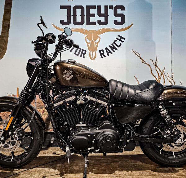 Harley Davidson, Sportster, XL883N, Iron 883, 2020