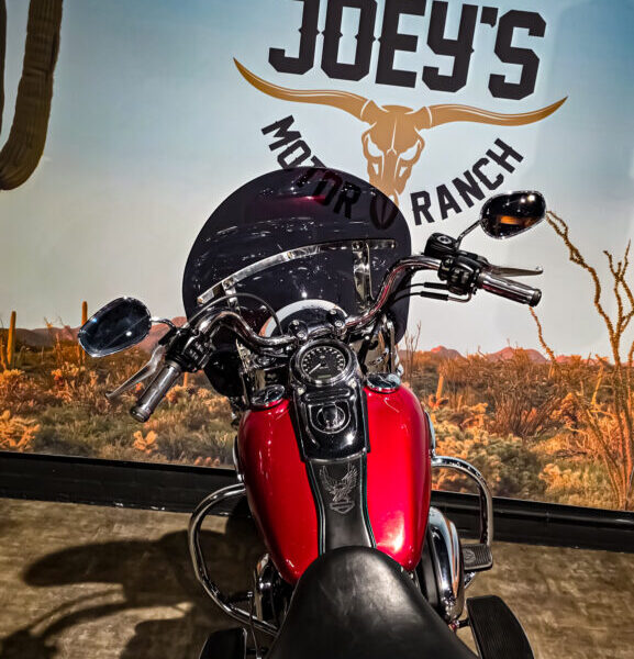 Harley-Davidson-FXD-Dyna-Switchback-2013-9 Harley Davidson, FXD, Switchback, 2013