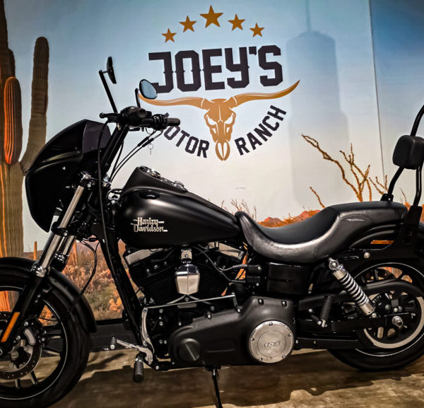 Harley Davidson, FXDBB, Street Bob Limited, Clubstyle, 2016