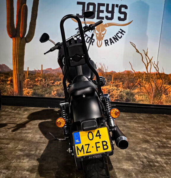 Harley Davidson, FXDBB, Street Bob Limited, Clubstyle, 2016