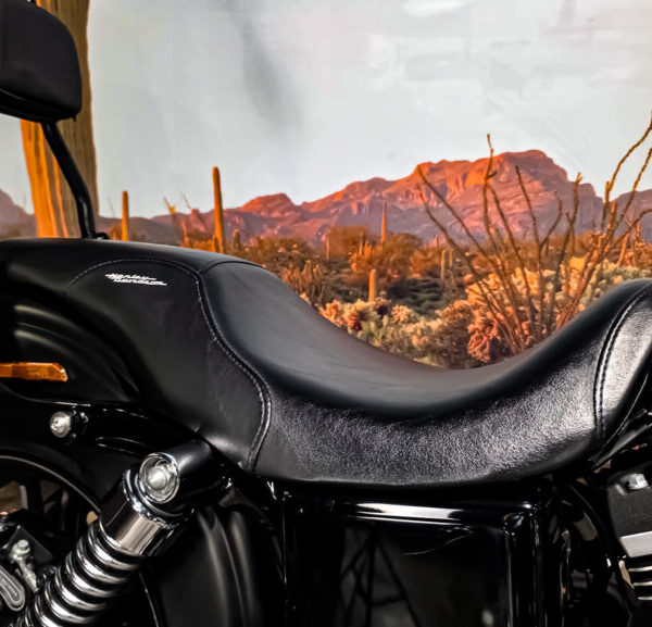 Harley Davidson, FXDBB, Street Bob Limited, Clubstyle, 2016