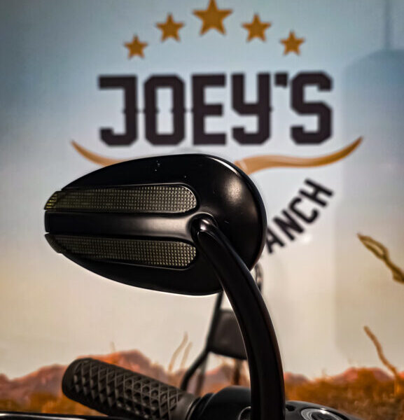 Harley Davidson, FXDBB, Street Bob Limited, Clubstyle, 2016