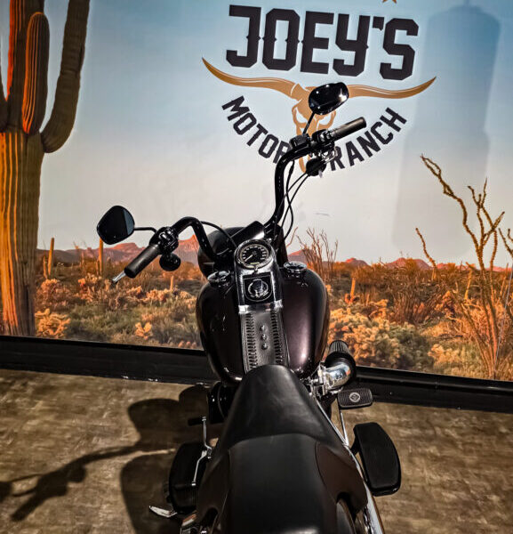 Harley-Davidson-Fat-Boy-FLSTF-2007-10 Harley Davidson, FLSTF, Softail, Fat Boy, 2007