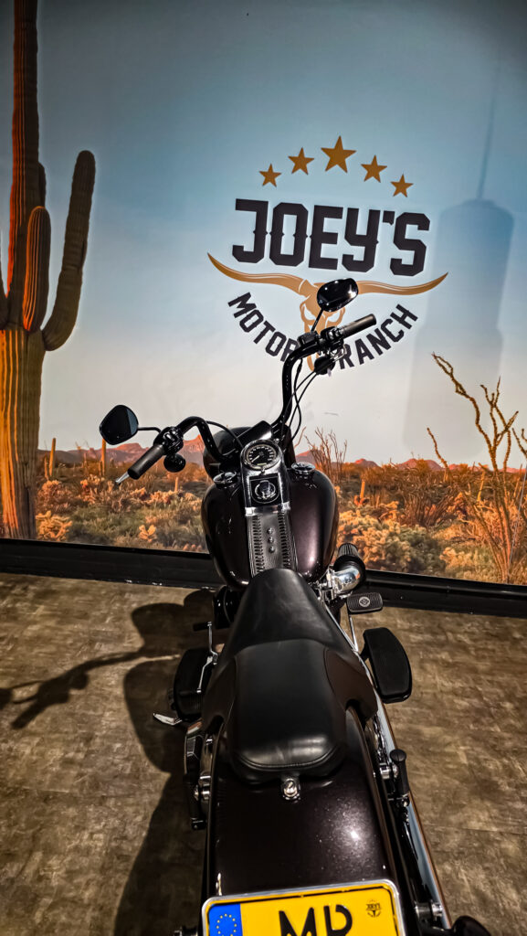 Harley-Davidson-Fat-Boy-FLSTF-2007-10 Harley Davidson, FLSTF, Softail, Fat Boy, 2007