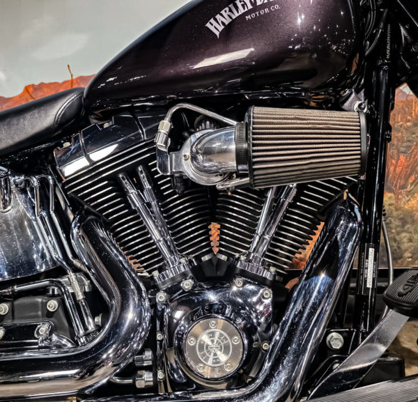 Harley-Davidson-Fat-Boy-FLSTF-2007-2 Harley Davidson, FLSTF, Softail, Fat Boy, 2007