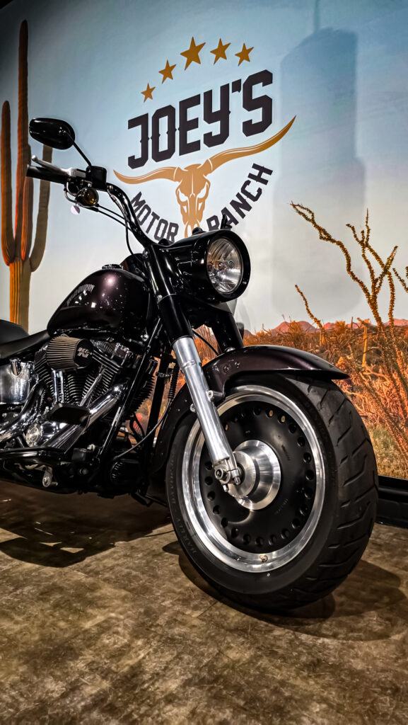 Harley-Davidson-Fat-Boy-FLSTF-2007-3 Harley Davidson, FLSTF, Softail, Fat Boy, 2007