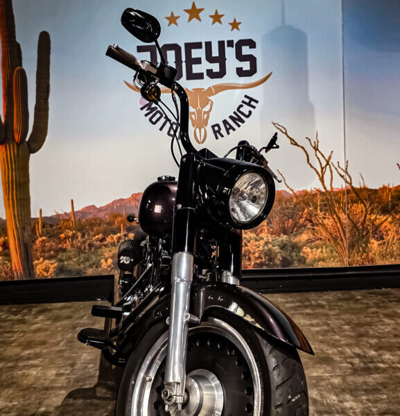 Harley-Davidson-Fat-Boy-FLSTF-2007-6 Harley Davidson, FLSTF, Softail, Fat Boy, 2007