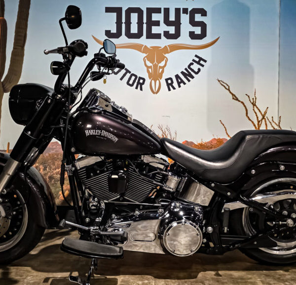 Harley-Davidson-Fat-Boy-FLSTF-2007-7 Harley Davidson, FLSTF, Softail, Fat Boy, 2007