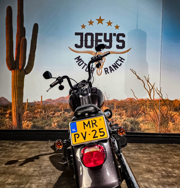 Harley-Davidson-Fat-Boy-FLSTF-2007-9 Harley Davidson, FLSTF, Softail, Fat Boy, 2007