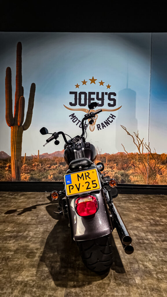 Harley-Davidson-Fat-Boy-FLSTF-2007-9 Harley Davidson, FLSTF, Softail, Fat Boy, 2007