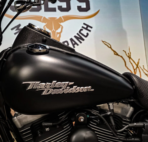 Harley Davidson, FXDB, Street Bob, Clubstyle, 2006