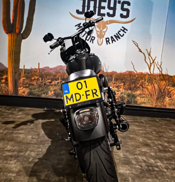 Harley Davidson, FXDB, Street Bob, Clubstyle, 2006