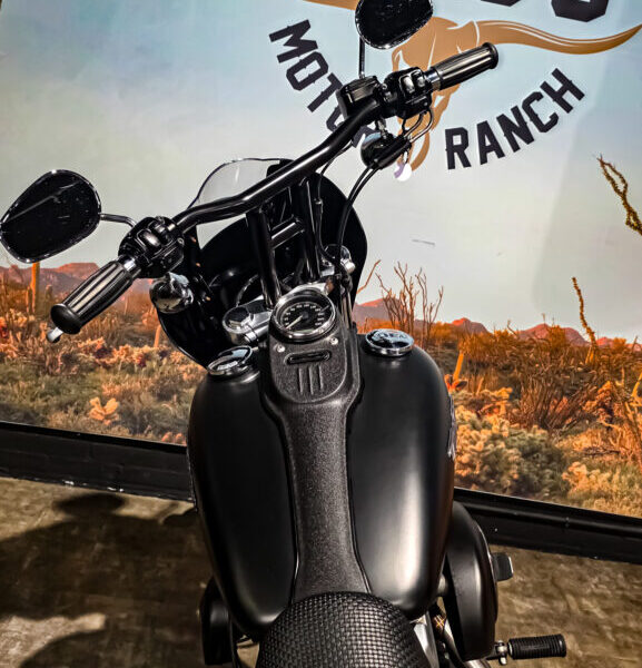 Harley Davidson, FXDB, Street Bob, Clubstyle, 2006