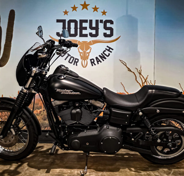 Harley Davidson, FXDB, Street Bob, Clubstyle, 2006