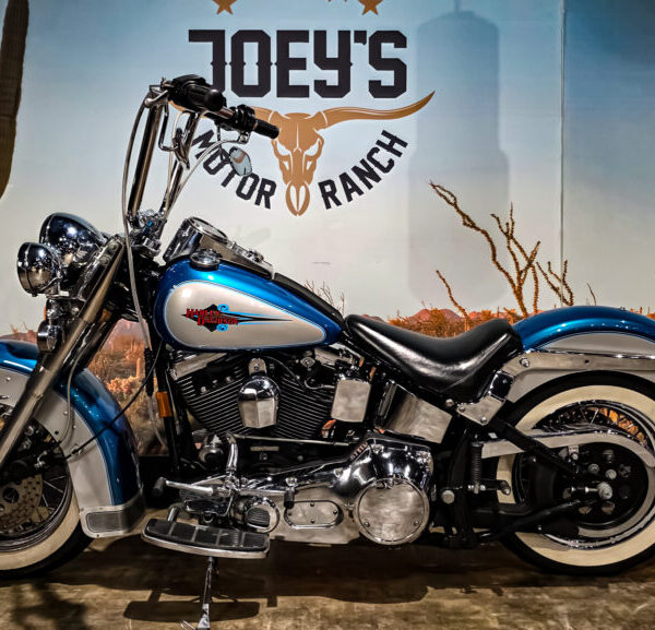 Harley Davidson, FLSTC, Heritage Classic Softail, 1995