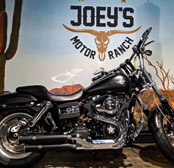 Harley-Davidson-FXDF-Fat-Bob-2010-dyna-1 Harley Davidson, FXDF, Dyna Fat Bob, 2010, VERKOCHT