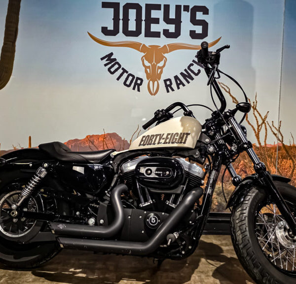 Harley-Davidson-Sportster-forty-eight-XL1200X-2010-1 Harley Davidson, Sportster 48, XL1200X, 2010