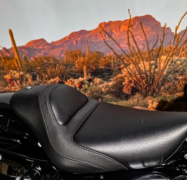 Harley-Davidson-Sportster-forty-eight-XL1200X-2010-4 Harley Davidson, Sportster 48, XL1200X, 2010