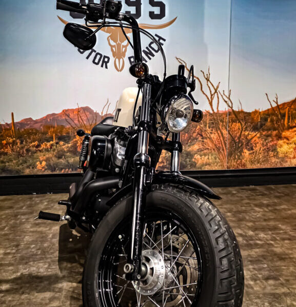 Harley-Davidson-Sportster-forty-eight-XL1200X-2010-8 Harley Davidson, Sportster 48, XL1200X, 2010