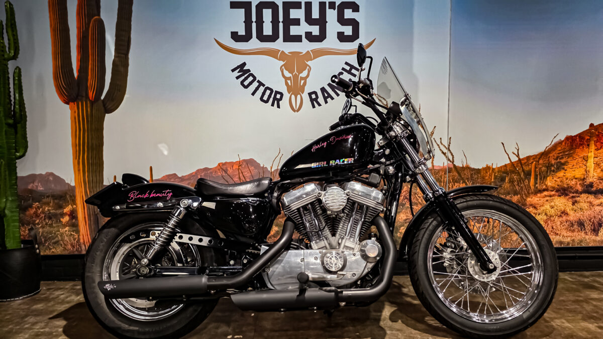 Harley-DAvidson - XL883L - Sportster - 883 Low - 2004 (1) Harley-Davidson - XL883L - Sportster - 883 Low - 2004 (12)