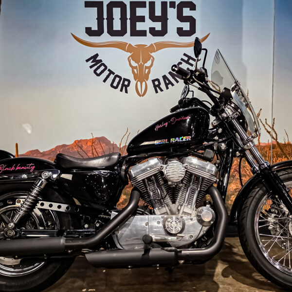 Harley-DAvidson - XL883L - Sportster - 883 Low - 2004 (1) Harley-Davidson - XL883L - Sportster - 883 Low - 2004 (12)