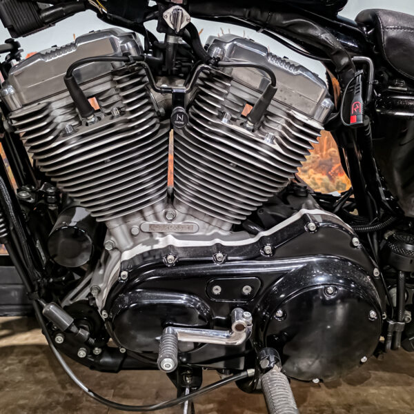 Harley-DAvidson - XL883L - Sportster - 883 Low - 2004 (10) Harley-Davidson - XL883L - Sportster - 883 Low - 2004 (12)