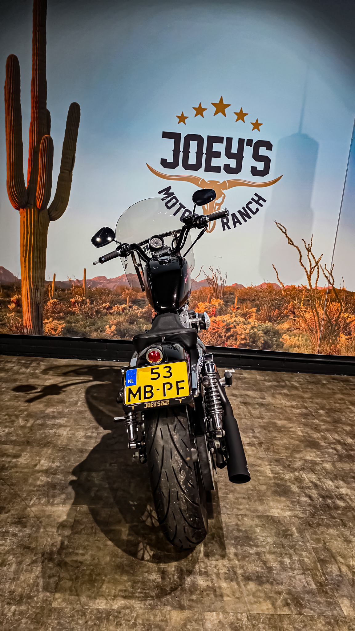 Harley-Davidson - XL883L - Sportster - 883 Low - 2004 (12) Harley-Davidson - XL883L - Sportster - 883 Low - 2004 (12)