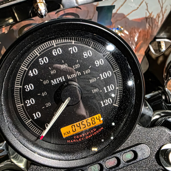 Harley-DAvidson - XL883L - Sportster - 883 Low - 2004 (14) Harley-Davidson - XL883L - Sportster - 883 Low - 2004 (12)