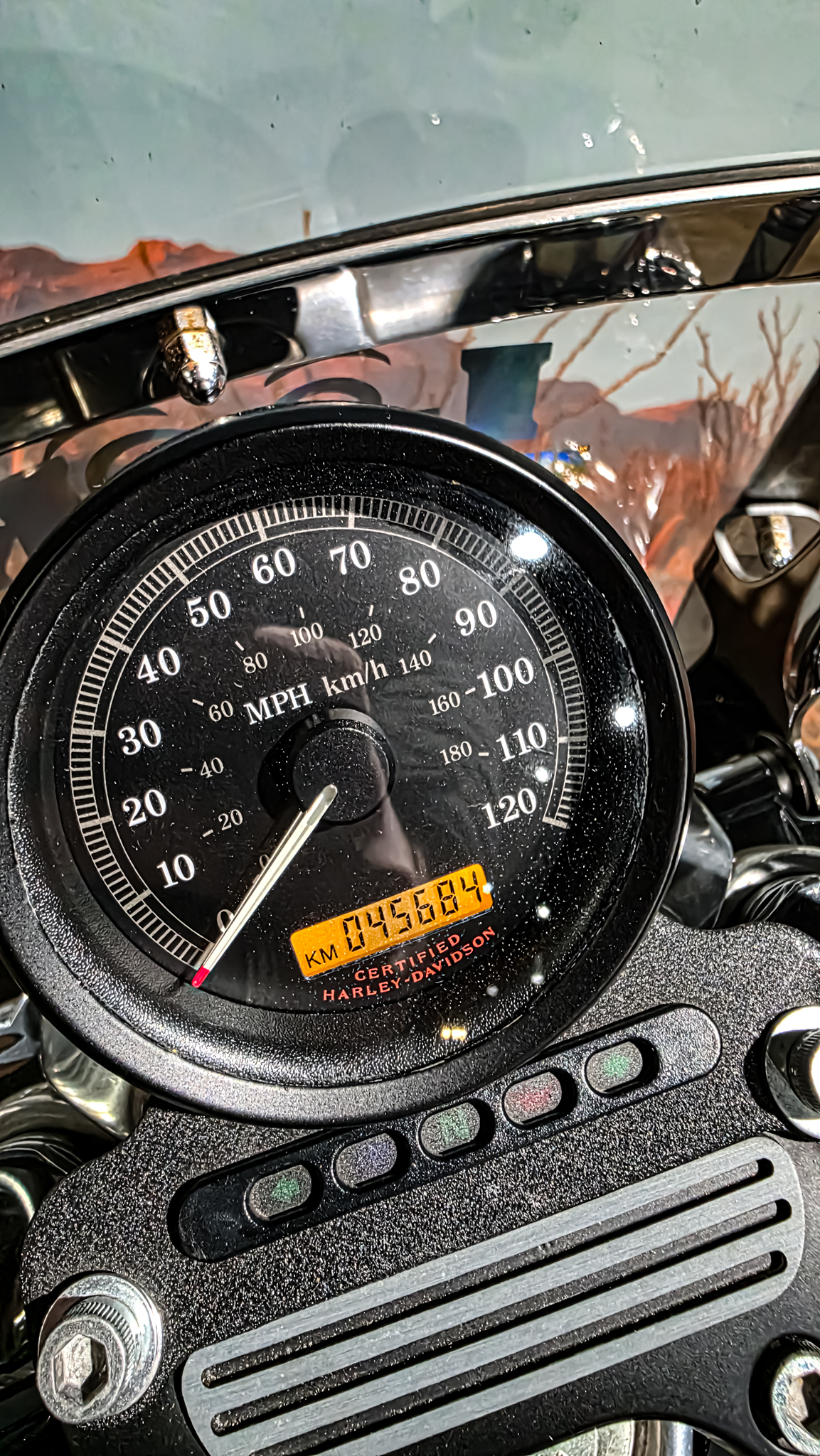 Harley-DAvidson - XL883L - Sportster - 883 Low - 2004 (14) Harley-Davidson - XL883L - Sportster - 883 Low - 2004 (12)